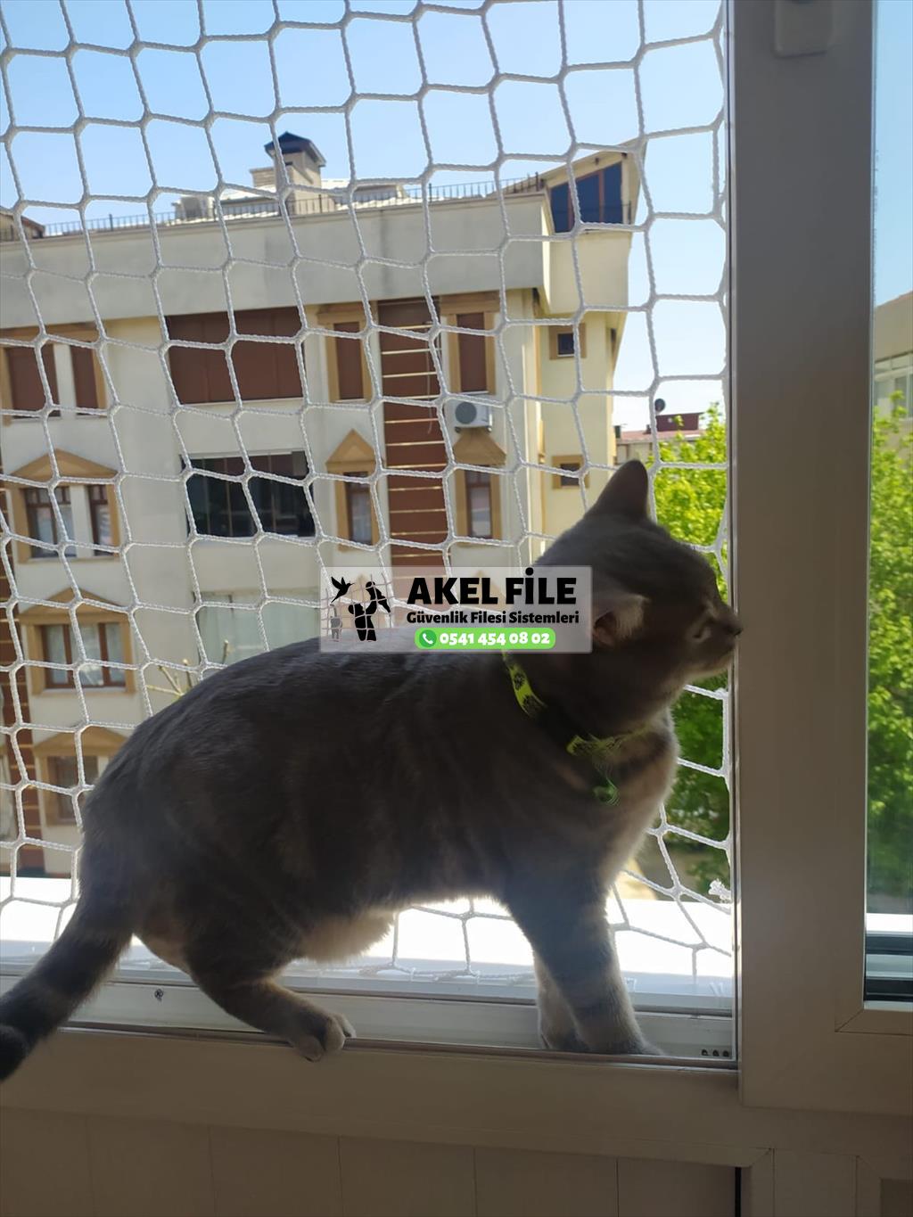 Kedi Filesi İstanbul 0541 454 08 02